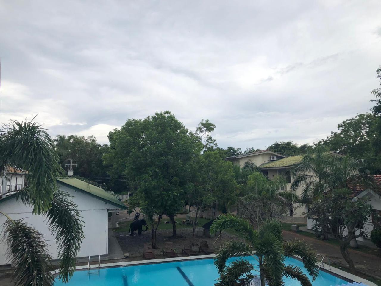 de 5000 m² con 7 habitación/es y 7 baño/s de uso privado, en Yala Tissamaharama Exterior foto